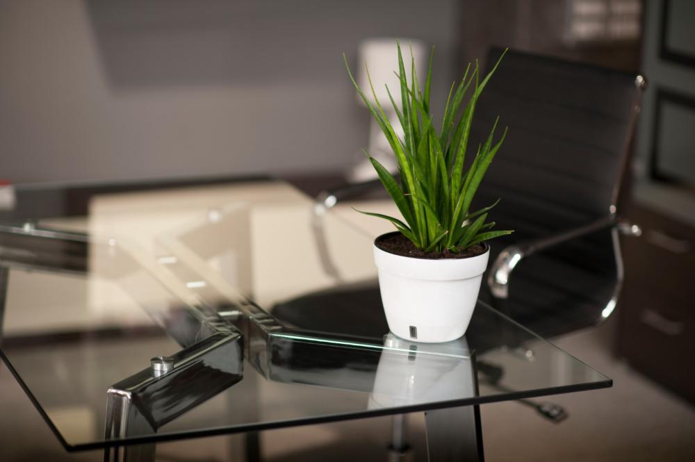 plateau de table en verre